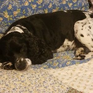 Meet your Posher, Ann